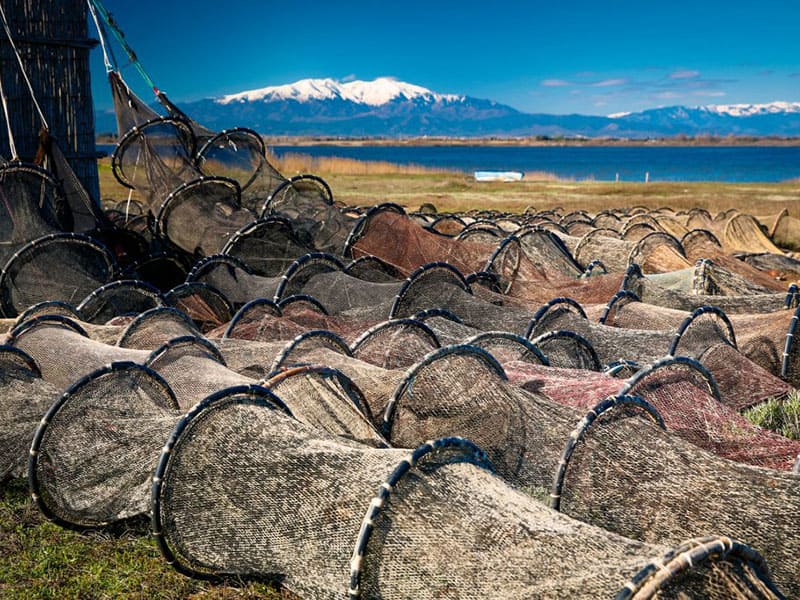 Les étangs de Canet-St Nazaire avec le Canigou en fond 