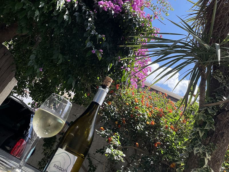 un verre de vin blanc sur la terrasse-patio de la maison de parrain